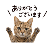 840303808
