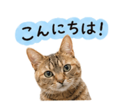 840303813