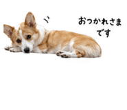 840303832