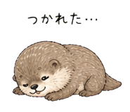 840304096