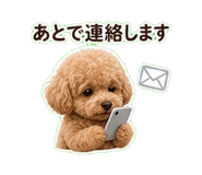 840304167