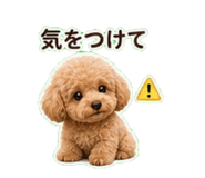 840304173
