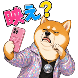 840304206