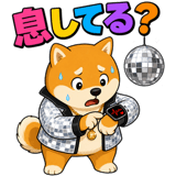 840304208