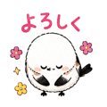 840304243