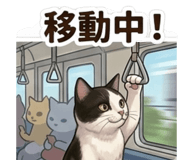 840304607