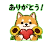 840304802