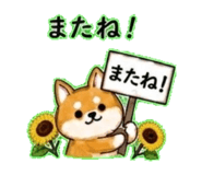 840304817
