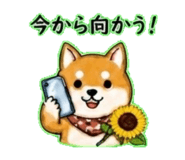 840304819