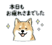 840305060