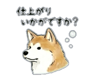 840305066
