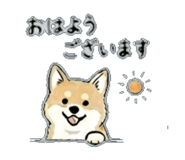 840305072