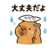 840305564