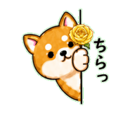 840305720