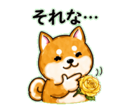 840305723