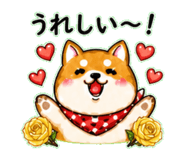 840305727