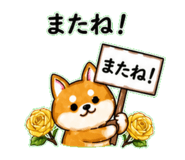 840305729