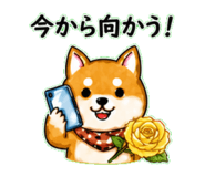 840305731