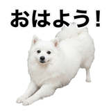 840305937