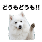 840305939