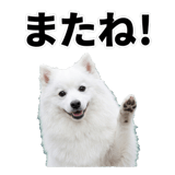 840305943