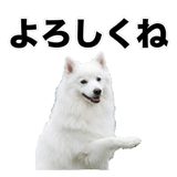 840305946