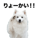 840305949
