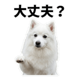 840305953