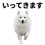 840305958