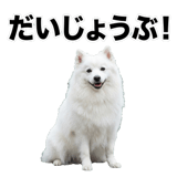 840305961
