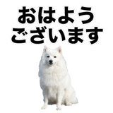 840305964