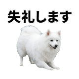 840305965
