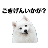 840305975