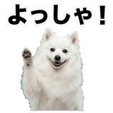 840305976