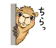 840306230