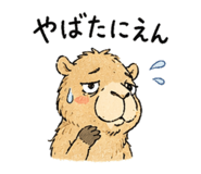 840306244