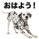 840306313