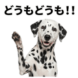840306315