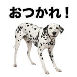 840306316