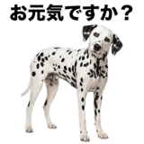 840306317