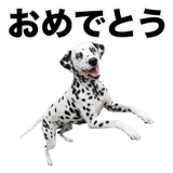 840306322