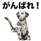 840306325