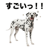 840306326