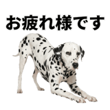 840306334