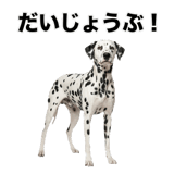 840306335