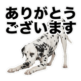 840306336