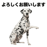840306337