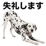 840306339