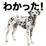 840306345