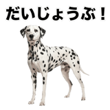 840306346